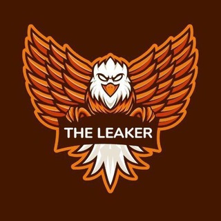 Логотип the_leakers