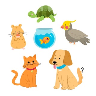 Логотип канала happypets_sale