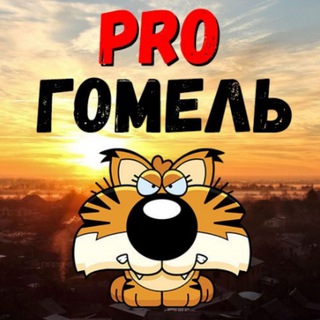 Логотип канала progomel