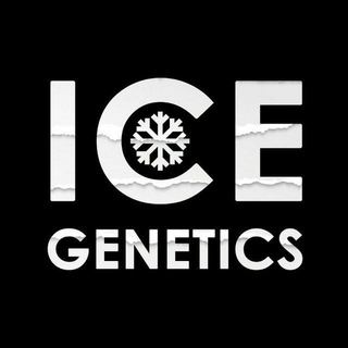 Логотип канала icegrow