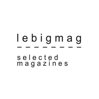 Логотип lebigmag