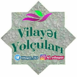 Логотип vilayet_313