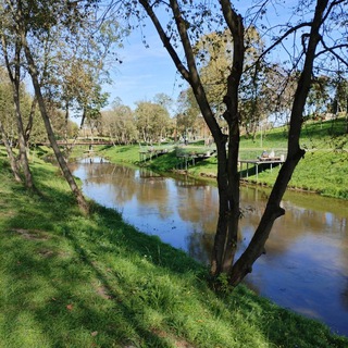 Логотип канала desnarechie_park