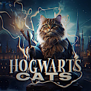 Логотип канала hogwartscats