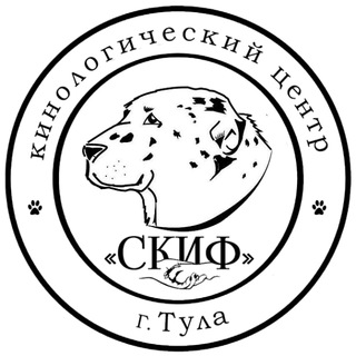 Логотип канала club_skif