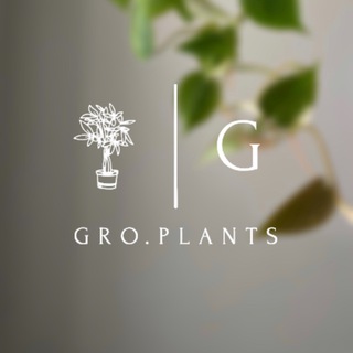 Логотип канала groplants