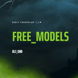 Логотип free_models