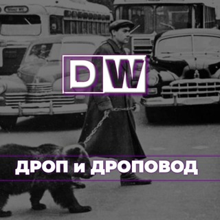 Логотип канала dropsverif