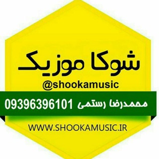 Логотип канала shookamusic