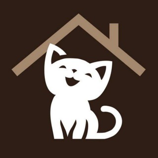 Логотип канала catsloving