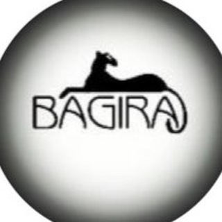 Логотип канала bagira_vrn