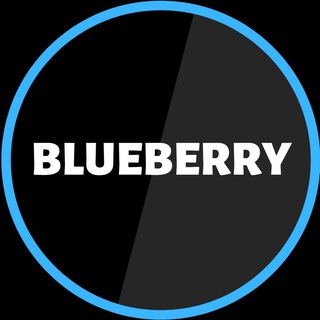 Логотип канала blueberry_spb