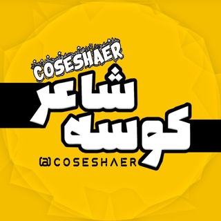 Логотип coseshaer