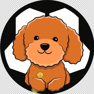 Логотип канала poodlefootball