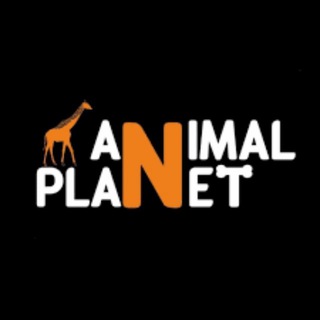 Логотип animal_p1anet