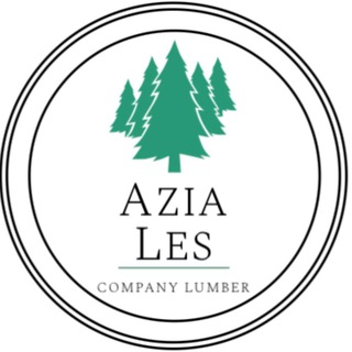 Логотип azia_les