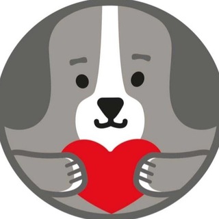 Логотип канала fund4dogs