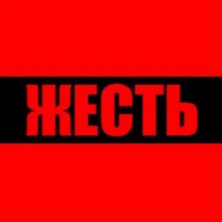 Логотип канала rkadyrov_95i