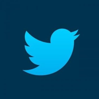 Логотип канала twitterplussss