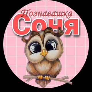 Логотип канала sovushka_razum