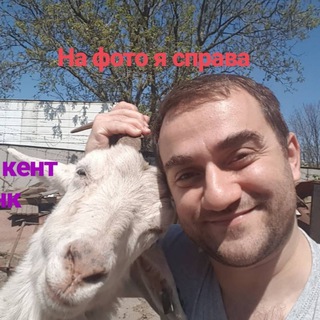 Логотип канала faridstudent