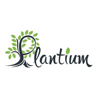 Логотип канала plantium