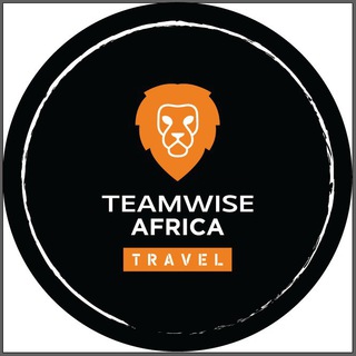 Логотип канала teamwiseafrica