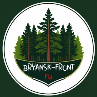 Логотип канала bryanskif