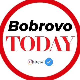 Логотип канала bobrovotoday