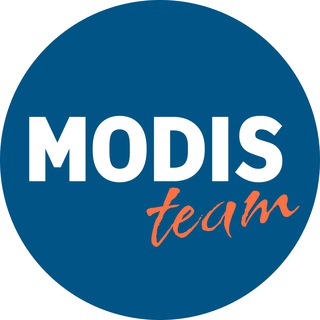 Логотип modisteam