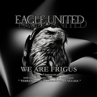 Логотип eagleunitedd