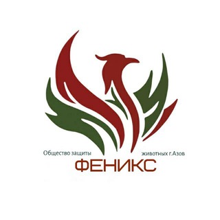 Логотип канала azov_fenix