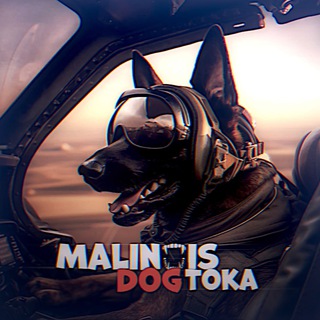 Логотип Malinois_Tiktok