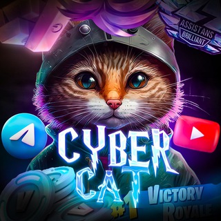 Логотип канала cybercat14