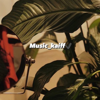 Логотип music_kaiff