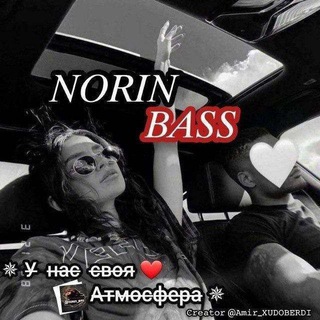 Логотип канала narin_bass