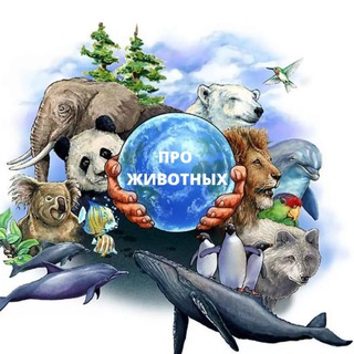 Логотип канала aboutanimalsnews