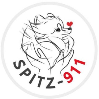 Логотип канала spitz_911