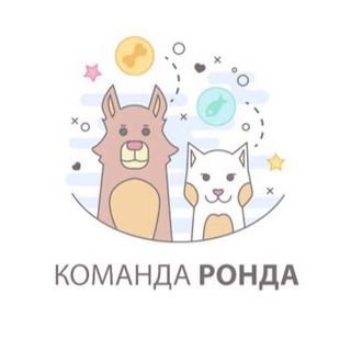 Логотип канала komandaronda