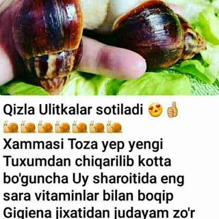 Логотип канала terapiyaulitca