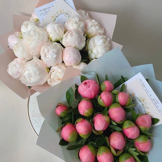 Логотип obuchenietaobao
