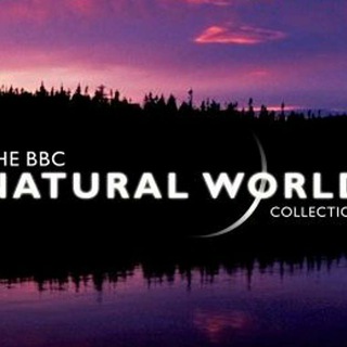 Логотип канала bbc_naturalworld