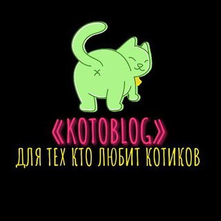 Логотип канала kotik_kisa_chmok