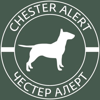 Логотип канала ChesterAlert