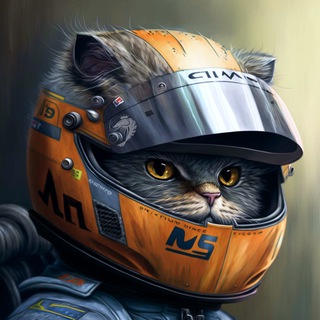 Логотип racingmanul