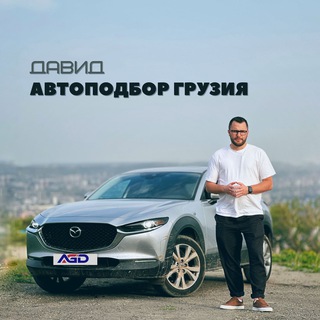 Логотип канала davidautopodbor