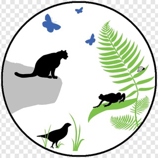Логотип канала Fauna_ob