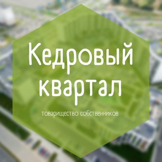 Логотип канала tskedrovy