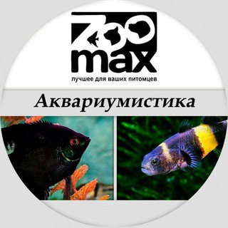 Логотип канала zoomaxakva