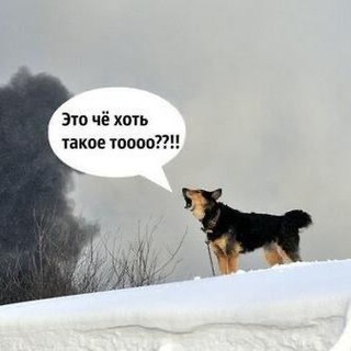 Логотип канала pyos_borks